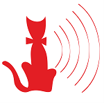 A Radio dos Gatos